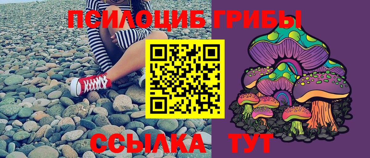 Галлюциногенные грибы MAGIC MUSHROOMS  Вход с VPN  Отрадное  Галлюциногенные грибы Magic Shrooms 